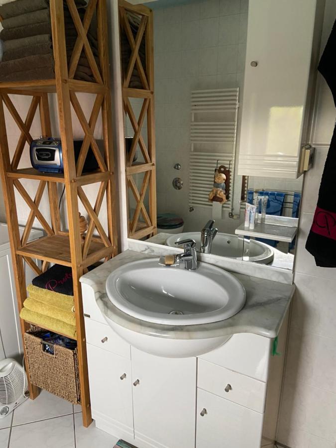 Dachterrassen Idylle Ueber Den Daechern Dresdens Exteriör bild