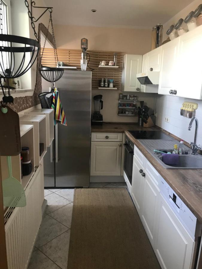 Dachterrassen Idylle Ueber Den Daechern Dresdens Exteriör bild